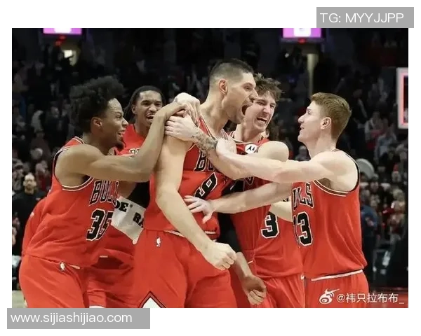 黄蜂与公牛比赛数据深度分析及战术对比探讨